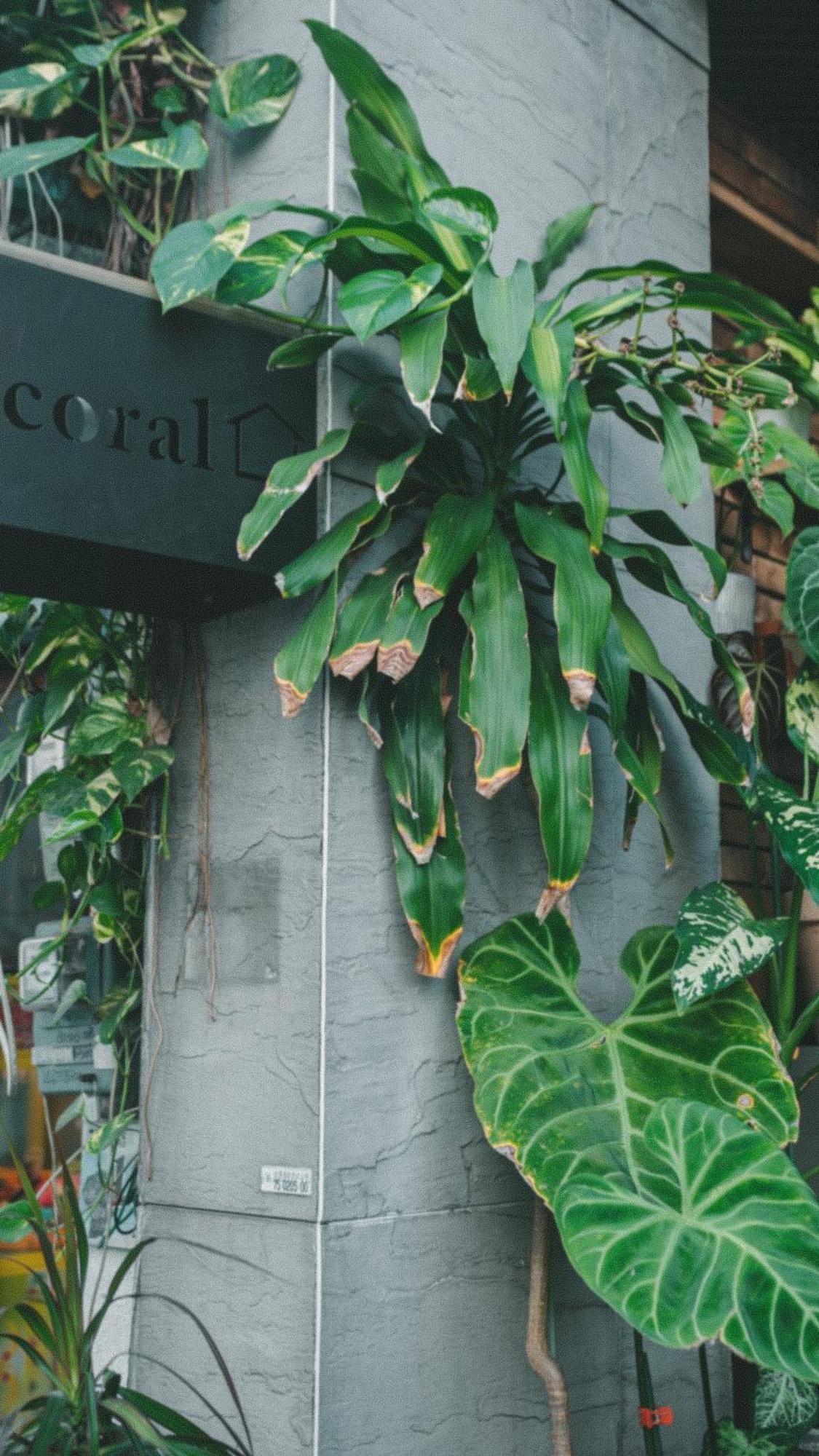 Coral B&B 小琉球 エクステリア 写真